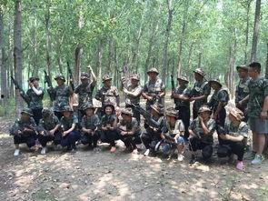 辛店镇吃瓜最新事件爆料,揭秘背后惊人真相