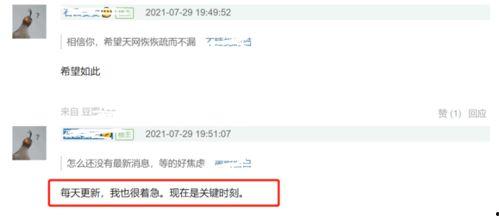 网络最新爆料,网络最新爆料，带你一探究竟！